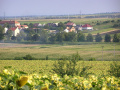 Léto 2005 Léto 2005